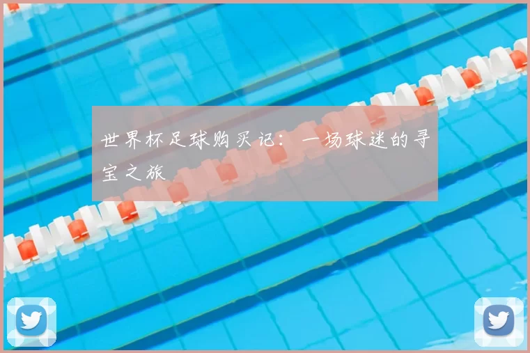 世界杯足球购买记：一场球迷的寻宝之旅