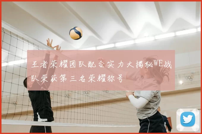 王者荣耀团队配合实力大揭秘WE战队荣获第三名荣耀称号
