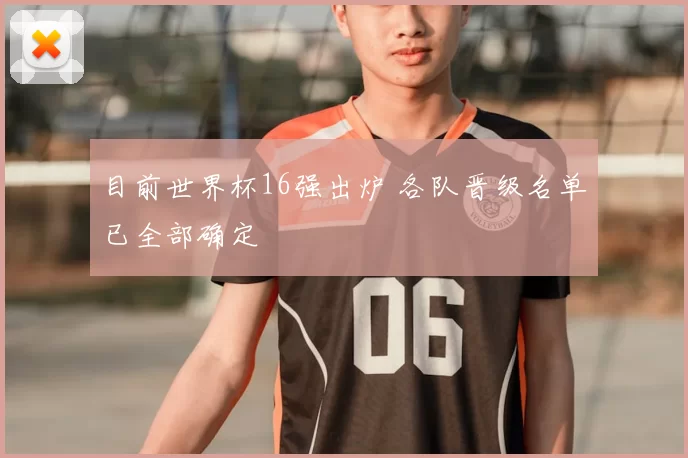 目前世界杯16强出炉 各队晋级名单已全部确定