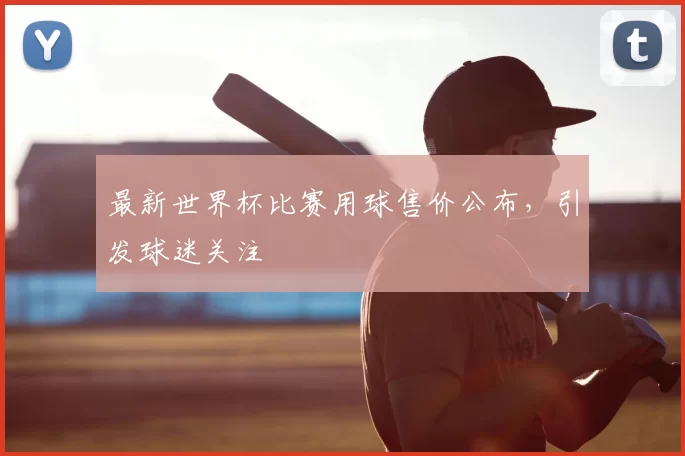 最新世界杯比赛用球售价公布，引发球迷关注