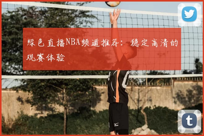 绿色直播NBA频道推荐：稳定高清的观赛体验