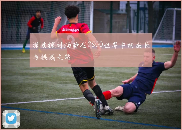 深度探讨杨静在CSGO世界中的成长与挑战之路