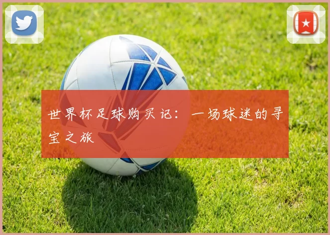 世界杯足球购买记：一场球迷的寻宝之旅