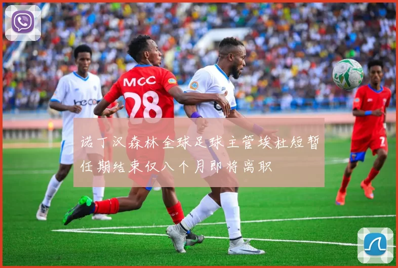 诺丁汉森林全球足球主管埃杜短暂任期结束仅八个月即将离职