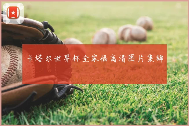 卡塔尔世界杯全家福高清图片集锦
