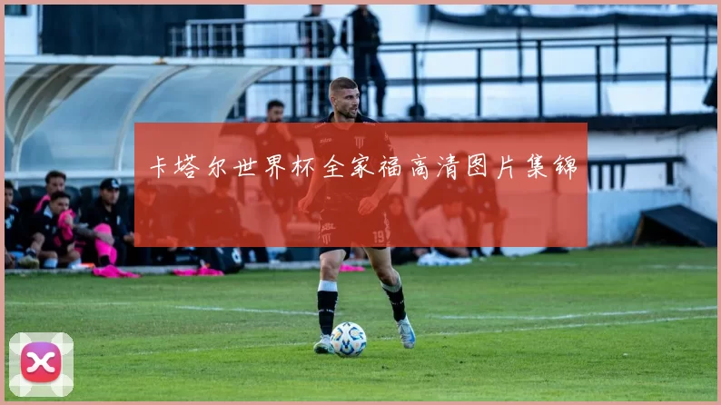 卡塔尔世界杯全家福高清图片集锦