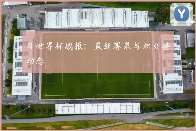 日世界杯战报：最新赛果与积分榜动态