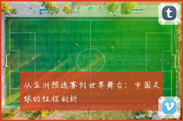 从亚洲预选赛到世界舞台:中国足球的征程剖析
