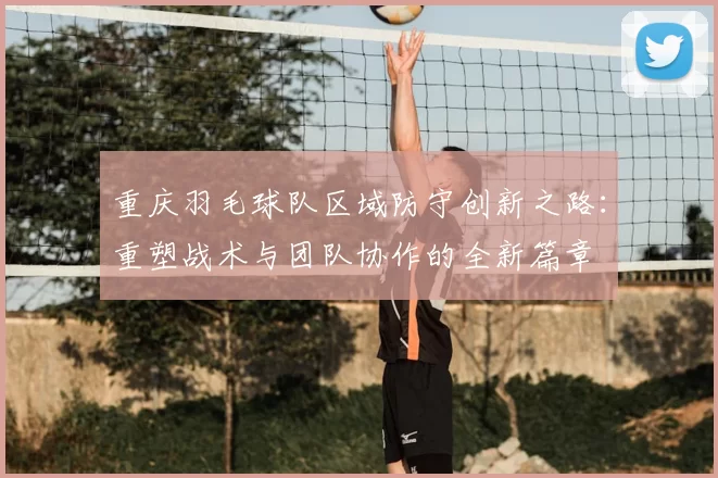 重庆羽毛球队区域防守创新之路:重塑战术与团队协作的全新篇章