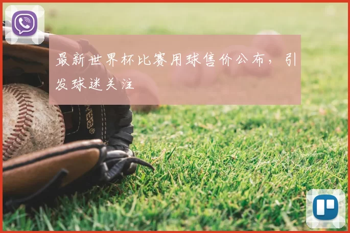 最新世界杯比赛用球售价公布，引发球迷关注