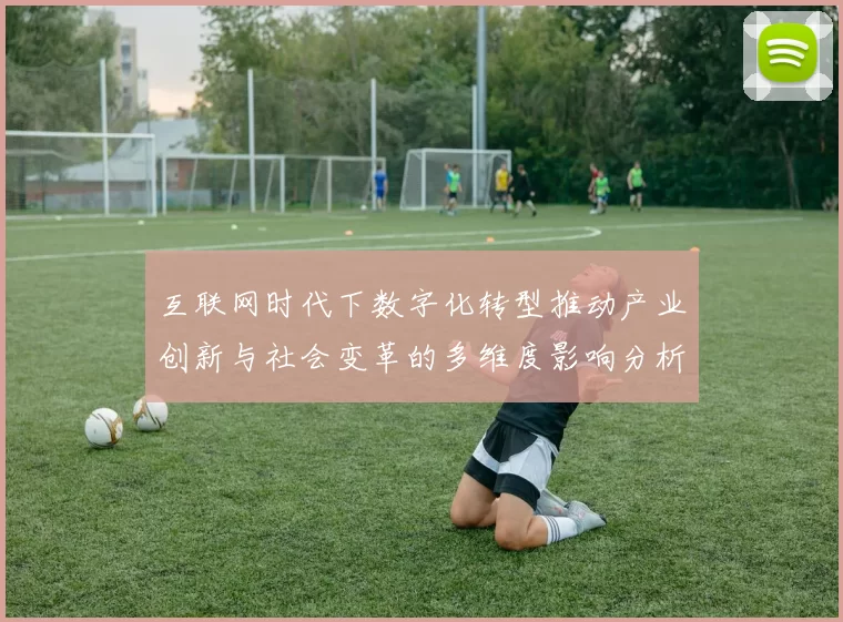 互联网时代下数字化转型推动产业创新与社会变革的多维度影响分析